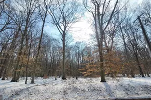 262 White Marsh Rd, Centreville, MD 21617 - Photo 1