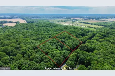 266 White Marsh Road, Centreville, MD 21617 - Photo 1