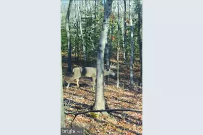 Big Woods Road, Church Hill, MD 21623 - Photo 6