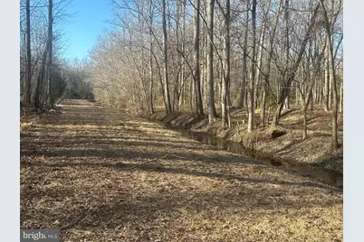 Big Woods Road, Church Hill, MD 21623 - Photo 16