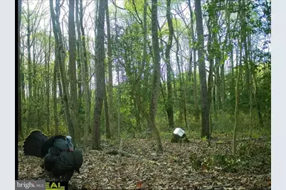 Big Woods Road, Church Hill, MD 21623 - Photo 8