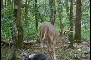 Big Woods Rd, Church Hill, MD 21623 - Photo 1