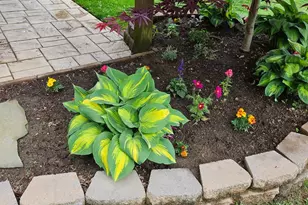 109 Prices Ln, Chester, MD 21619 - Photo 6