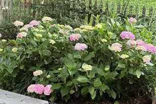 126 S Commerce St, Centreville, MD 21617 - Photo 60