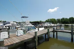 203 Wineland Way, Stevensville, MD 21666 - Photo 48
