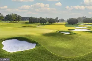 414 Bay Dr, Stevensville, MD 21666 - Photo 78