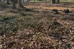 Lot #1 Harley Ln, Chester, MD 21619 - Photo 1