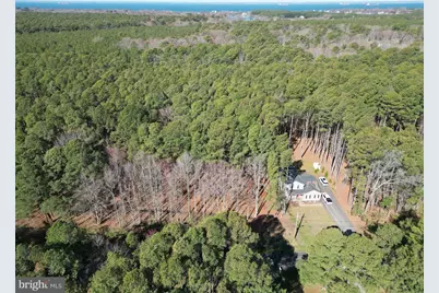 138 Olive Branch Road, Stevensville, MD 21666 - Photo 6