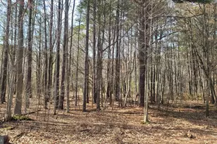 Forest Rd, Grasonville, MD 21638 - Photo 1