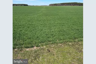 2649 Roberts Station Road, Ingleside, MD 21644 - Photo 46