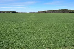 2649 Roberts Station Rd, Ingleside, MD 21644 - Photo 46