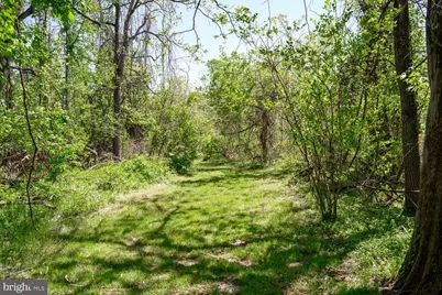 104 Jim Jungle Road, Millington, MD 21651 - Photo 38
