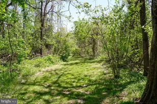 104 Jim Jungle Rd, Millington, MD 21651 - Photo 38