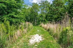 1000 Herons Nest Wy, Chester, MD 21619 - Photo 50