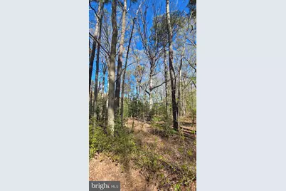 Touhey Drive, Stevensville, MD 21666 - Photo 2