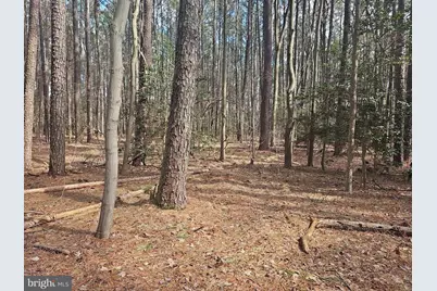 Romancoke Road, Stevensville, MD 21666 - Photo 16