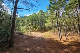 Romancoke Rd, Stevensville, MD 21666 - Photo 1