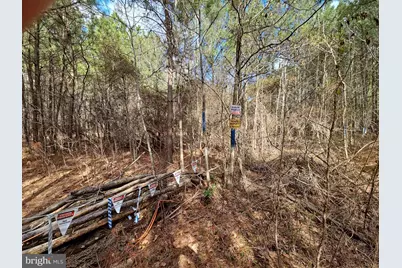 Romancoke Road, Stevensville, MD 21666 - Photo 18