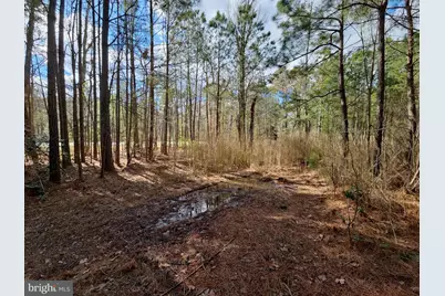 Romancoke Road, Stevensville, MD 21666 - Photo 14