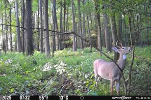 420 Duhamel Corner Rd, Marydel, MD 21649 - Photo 92