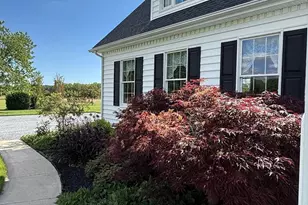 306 Old Line Dr, Centreville, MD 21617 - Photo 28