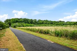 364 Moorings Cir, Stevensville, MD 21666 - Photo 28