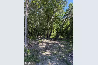 105 Barclay Cutoff Road, Barclay, MD 21607 - Photo 2