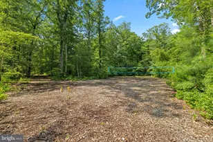 225 Batts Neck Rd, Stevensville, MD 21666 - Photo 42