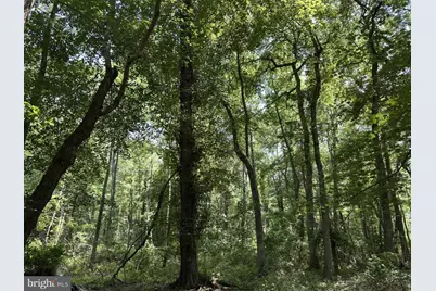 Peters Corner Road, Sudlersville, MD 21668 - Photo 4