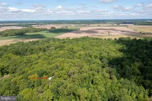 620 Baxter Rd, Sudlersville, MD 21668 - Photo 12