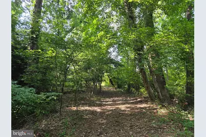 204 Groff Road, Millington, MD 21651 - Photo 38