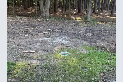 142 Olive Branch Road #LOT 7, Stevensville, MD 21666 - Photo 6