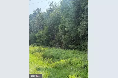 Parcel 38 Goldsboro Road, Barclay, MD 21607 - Photo 4