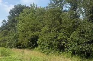 Parcel 73 Barclay Rd, Barclay, MD 21607 - Photo 1