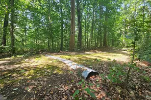 405 Rings End Rd, Millington, MD 21651 - Photo 30