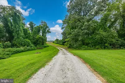 491 Wye Island Road, Queenstown, MD 21658 - Photo 58