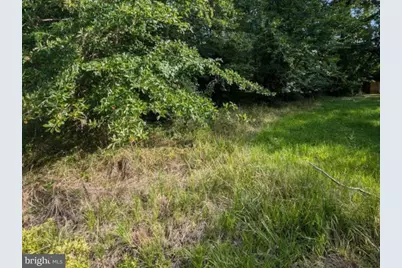 36788 Springdale Drive, Bushwood, MD 20618 - Photo 2