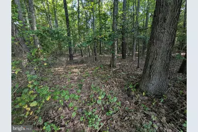 36810 Bushwood Drive, Bushwood, MD 20618 - Photo 6
