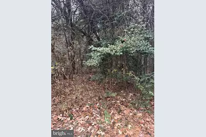 Mill Point Road, Chaptico, MD 20621 - Photo 6