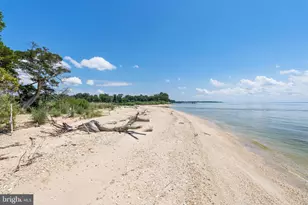 19700 Mulberry Fields Rd, Leonardtown, MD 20650 - Photo 92