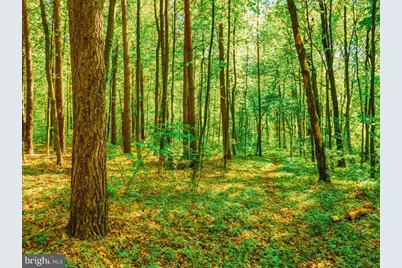 North Lake Drive, Mechanicsville, MD 20659 - Photo 1