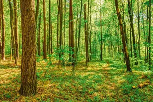 North Lake Dr, Mechanicsville, MD 20659 - Photo 1