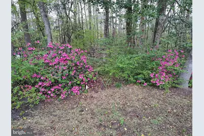 38310 Pleasant View Drive, Charlotte Hall, MD 20622 - Photo 4