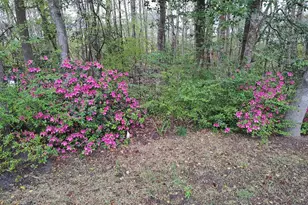 38310 Pleasant View Dr, Charlotte Hall, MD 20622 - Photo 4