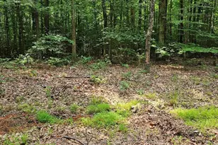 Wicomico Shores, Mechanicsville, MD 20659 - Photo 2