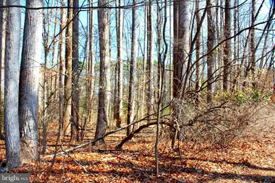 Scott Circle, Mechanicsville, MD 20659 - Photo 6