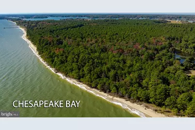 50645 Holly Point Road, Dameron, MD 20628 - Photo 10