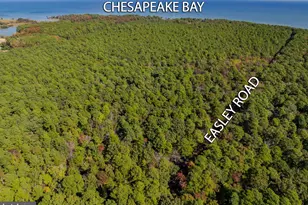 50645 Holly Point Rd, Dameron, MD 20628 - Photo 56