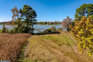 50645 Holly Point Rd, Dameron, MD 20628 - Photo 52