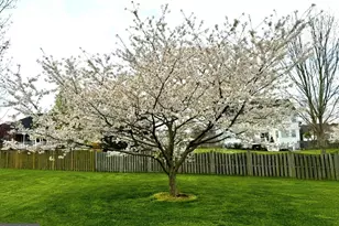 42975 Baywood Pl, Leonardtown, MD 20650 - Photo 64